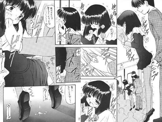 RJ004296 img main - 蛍-総集編記念本-