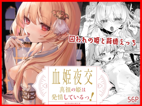 RJ01016484 img main - 血姫夜交 真祖の姫は発情しているっ!【毛玉牛乳】