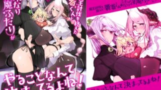 RJ01083074 img main 320x180 - 魔王討伐を終えた勇者くんとふたなり淫魔ふたりがやることなんて決まってるよね!【めとろのーつ】