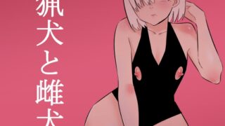 RJ01087490 img main 320x180 - 猟犬と雌犬