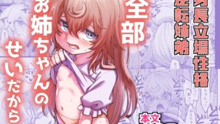 RJ01235049 img main 320x180 - 全部お姉ちゃんのせいだから【ひやかけごはん】