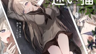 RJ01287468 img main 320x180 - 迷い猫【フルカラー版】【TOZAN:BU】