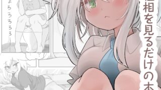 RJ01305327 img main 320x180 - 粗相を見るだけの本【モヤシ技研】
