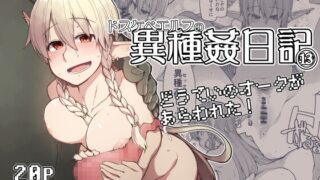 RJ01315334 img main 320x180 - ドスケベエルフの異種姦日記13【めたもる】