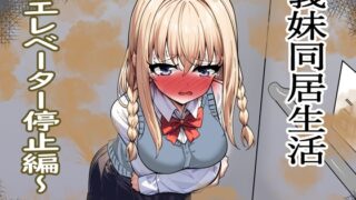 RJ01360153 img main 320x180 - 義妹同居生活 エレベーター停止編【セイスイ】