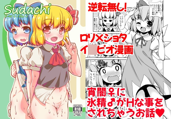 RJ01387641 img main - Sudachi【魔導資料室】