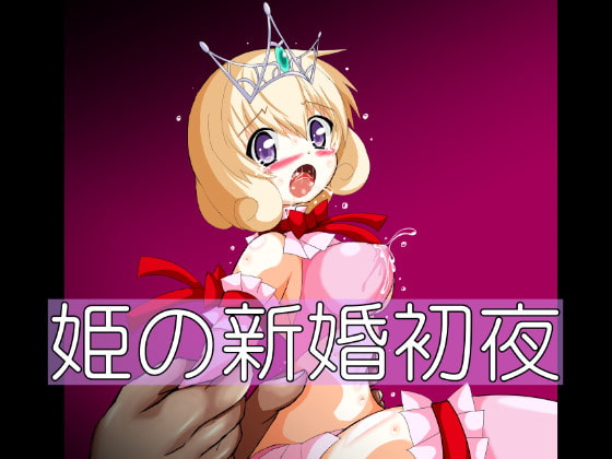 RJ203672 img main - 姫の新婚初夜