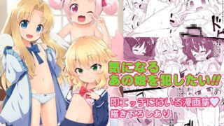RJ01005667 img main 320x180 - FAN箱漫画まとめ本
