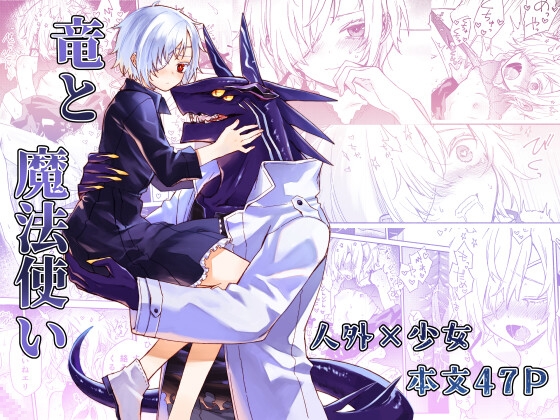 RJ01082135 img main - 竜と魔法使い