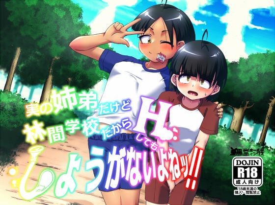 RJ01113587 img main - 実の姉弟だけど林間学校だからHしてもしょうがないよねッ!!