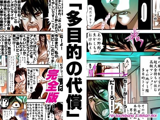 RJ01373584 img main - 完全版 多目的の代償