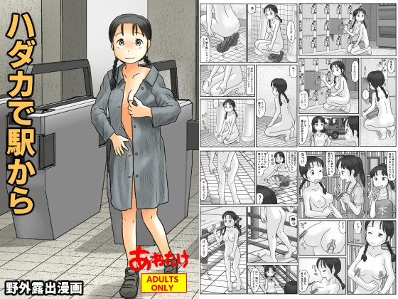 RJ01419554 img main - ハダカで駅から