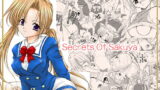 RJ014440 img main 160x90 - Secrets Of Sakuya