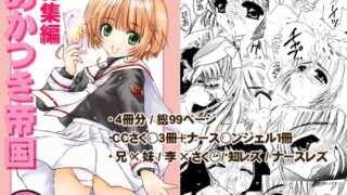 RJ039856 img main 320x180 - あかつき帝国総集編