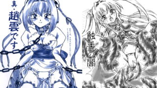 RJ052906 img main 320x180 - 『真・趙雲です』『触手の闇』