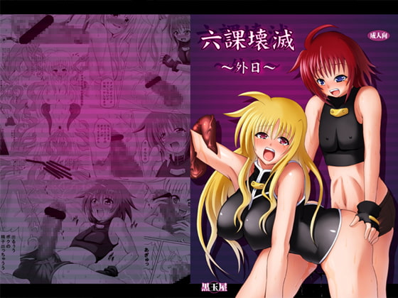 RJ061052 img main - 六課壊滅～外日～ おまけ付き