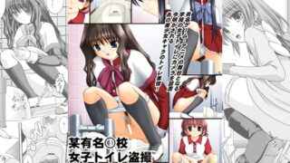 RJ096607 img main 320x180 - 某有名○校女子トイレ盗撮 2次元美少女編Vol.2