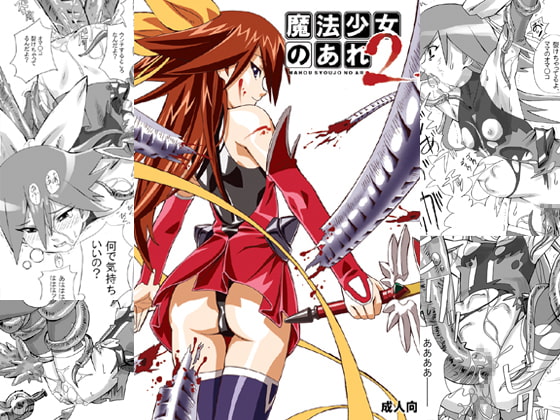 RJ102357 img main - 魔法少女のあれ2