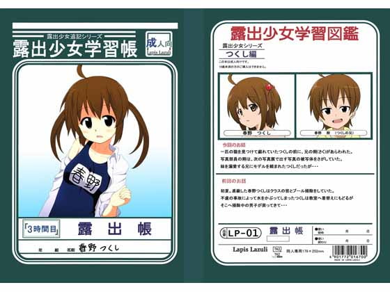 RJ104880 img main - 露出少女学習帳3時間目
