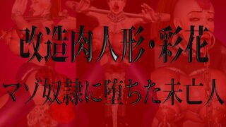 RJ117377 img main 320x180 - 改造肉人形・彩花 マゾ奴○に堕ちた未亡人