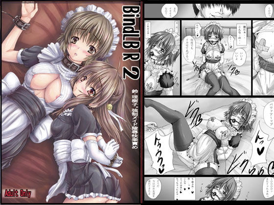 RJ133456 img main - BindLB R2 DL版