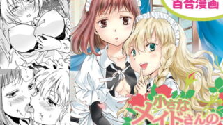 RJ159740 img main 320x180 - 小さなメイドさんの秘密