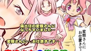 RJ167035 img main 320x180 - 魔法少女の後日談