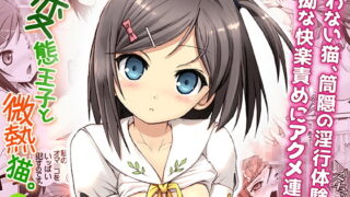 RJ228638 img main 320x180 - 笑わない猫の淫行体験・変態王子と微熱猫