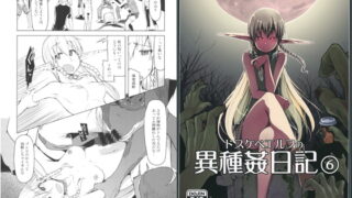 RJ243284 img main 320x180 - ドスケベエルフの異種姦日記6
