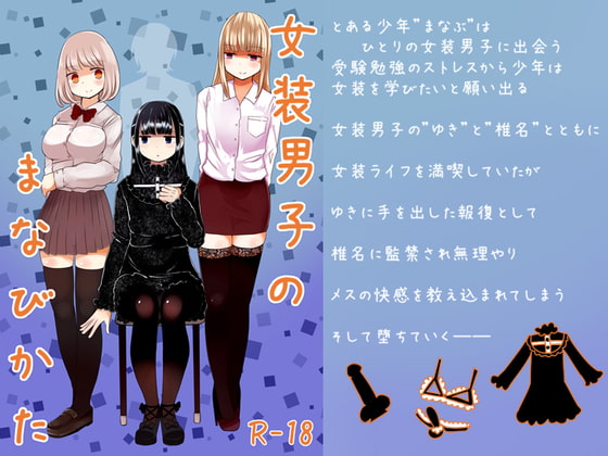 RJ289539 img main - 女装男子のまなびかた