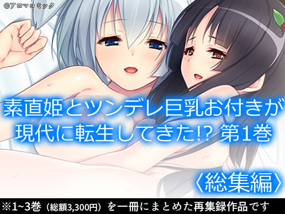 RJ308708 img main - 素直姫とツンデレ巨乳お付きが現代に転生してきた!?  <総集編>