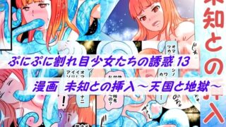 RJ01420620 img main 320x180 - プニプニ割れ目少女たちの誘惑13+未知との挿入