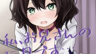 RJ01437924 img main 320x180 - 私、お兄さんの玩具です…